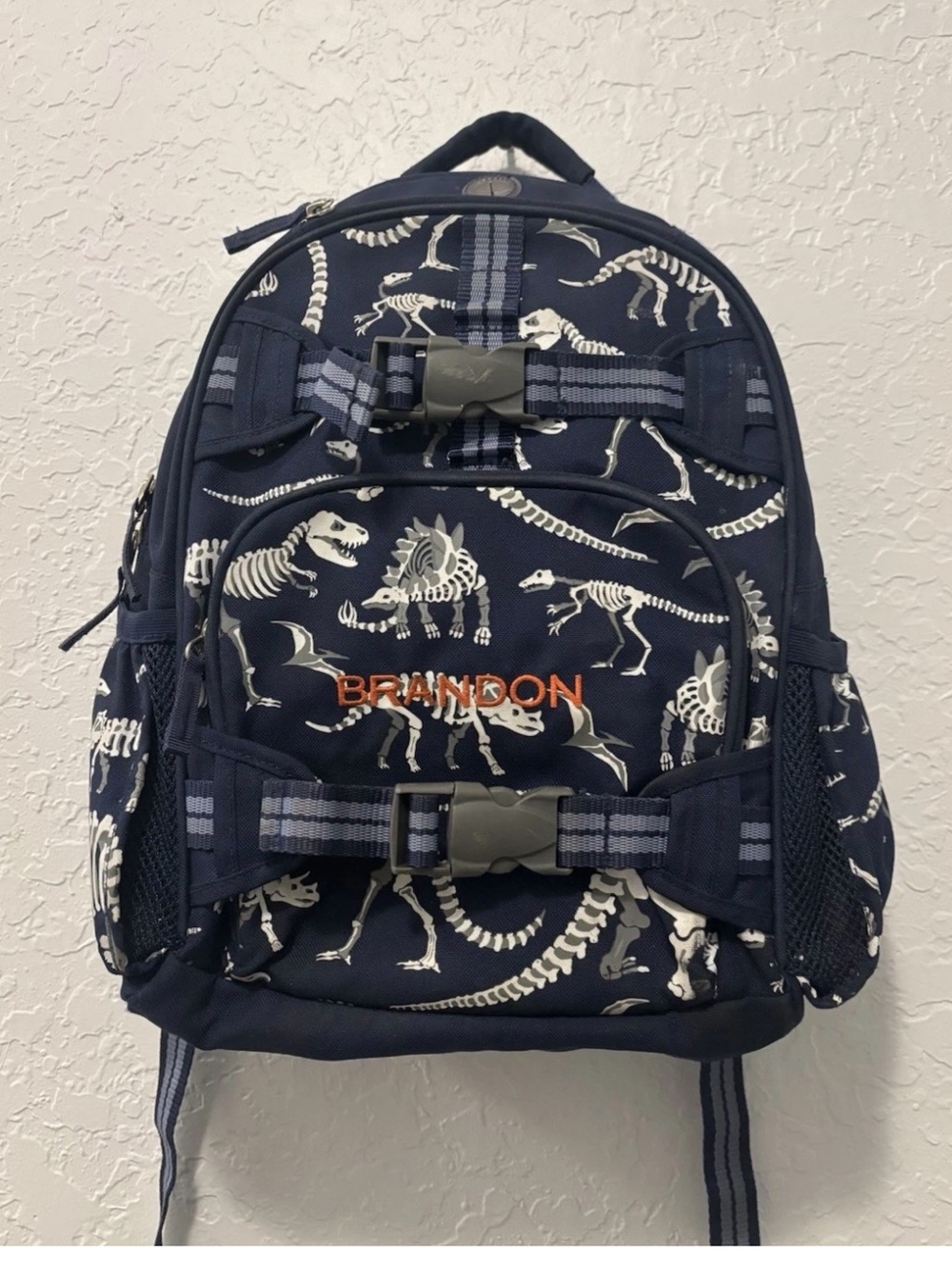 Pottery Barn boys backpack dinosaurs glow in the dark